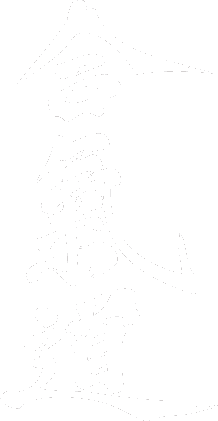 Aikido Kobukai – Aikido en Barcelona – Kirajana Aikido – Blanco Aikido Kobukai - Aikido en Barcelona - Kirajana Aikido - Blanco